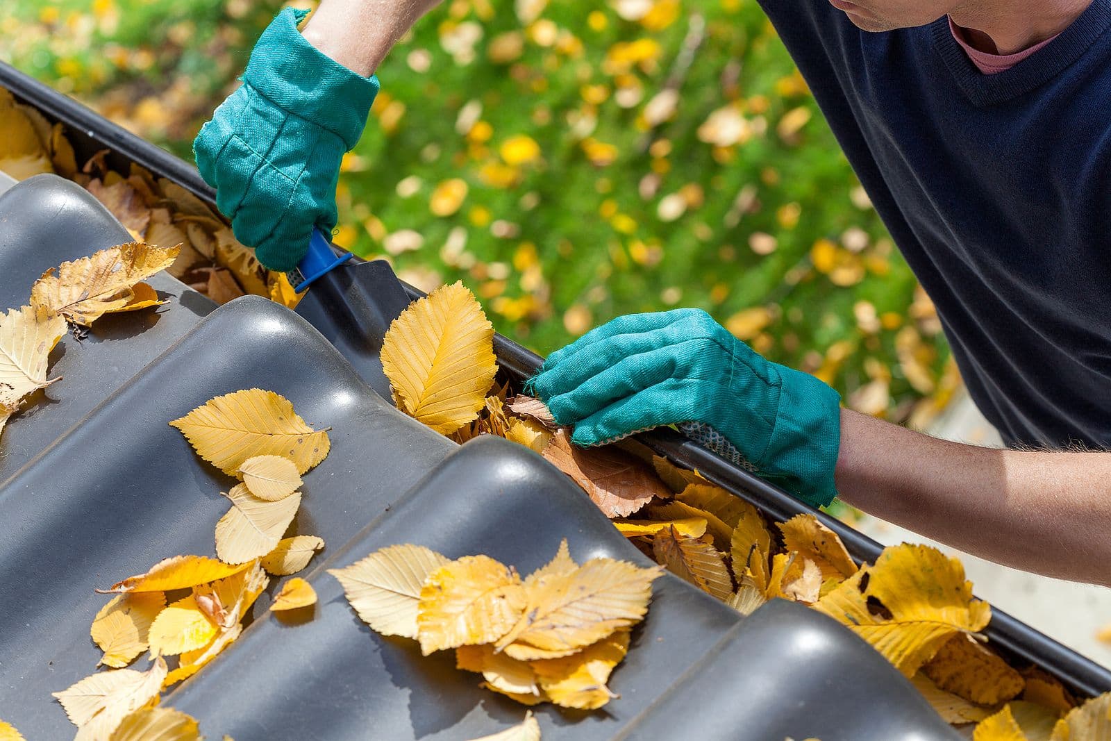 A worker cleaning the gutter of autumn leaves.